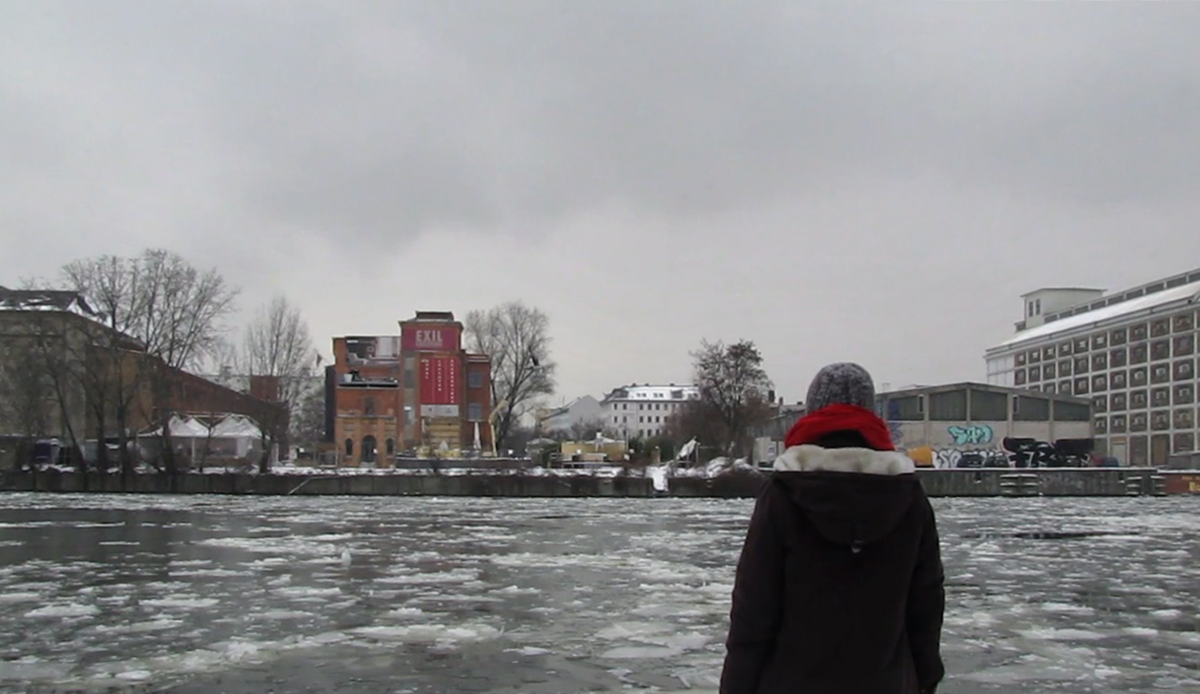 Ice research, Park an der Spree, January 2013